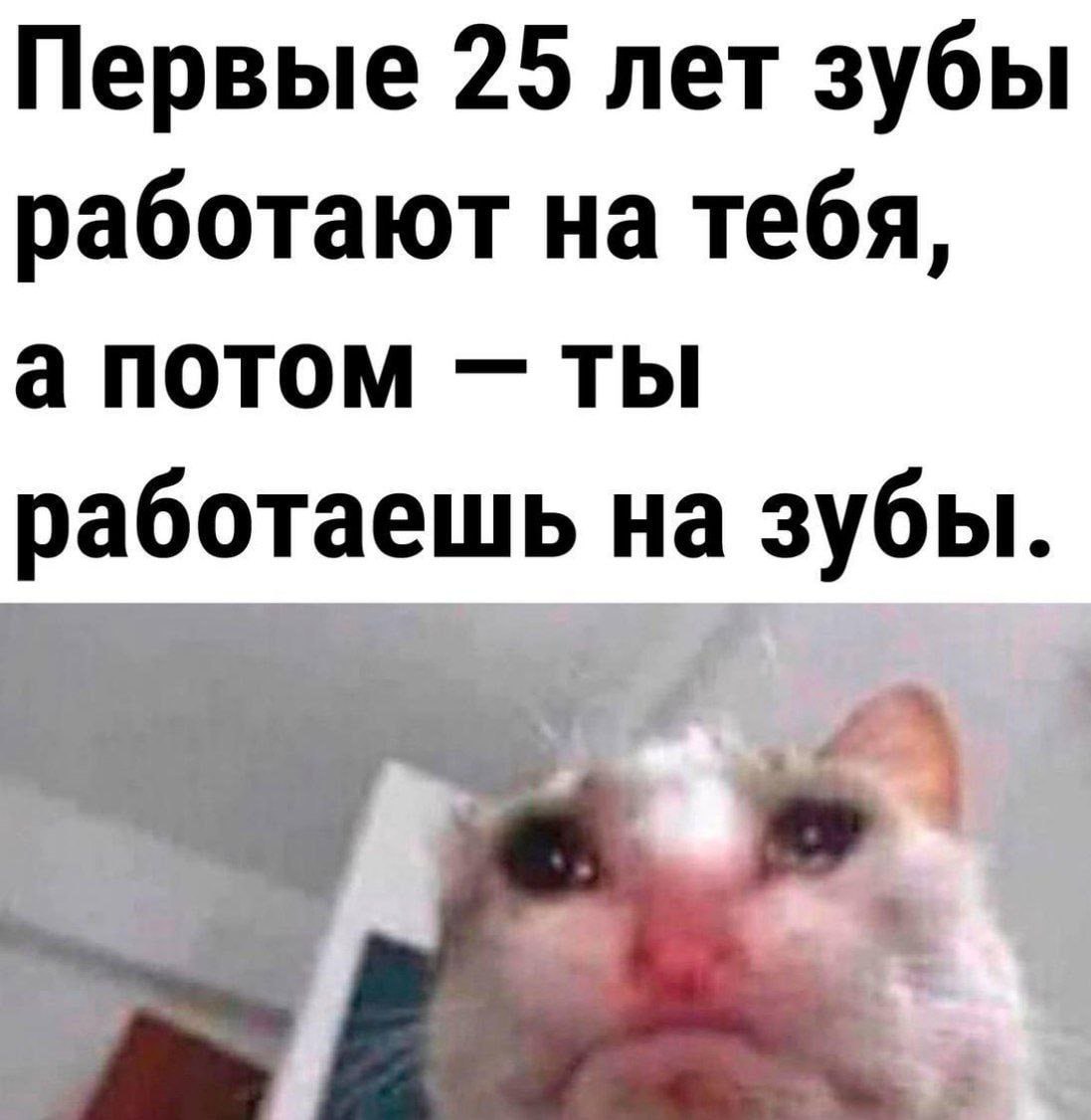 ������������ ����